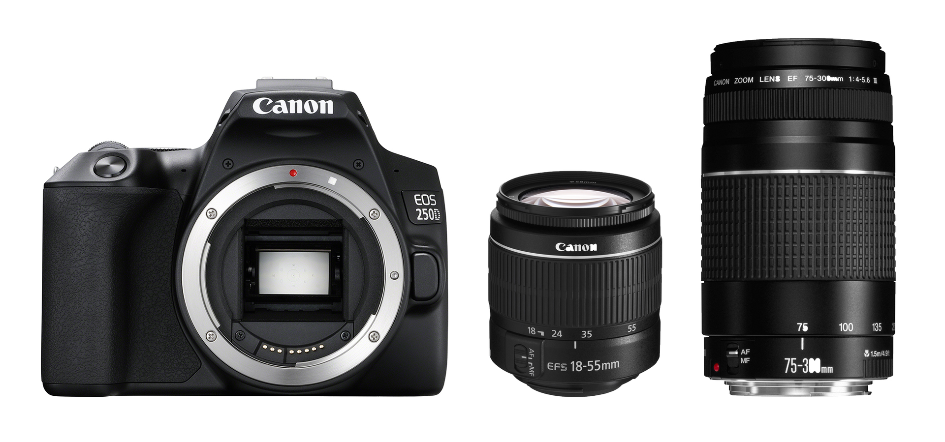 Canon EOS 250D DSLR Double Lens Kit - Orms Direct - South Africa