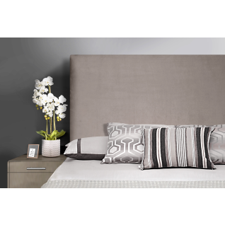 Aden Headboard 